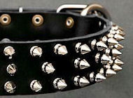 Black Leather Spiked dog Collar for Dalmatian Black Leather Spiked dog Collar for Dalmatian