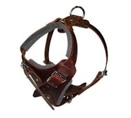 Comfort Padded Dog Harness for Dalmatian