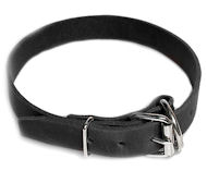 Leather Field Collar for Dalmatian