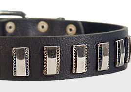Ornament Dog Collar made of leather for Dalmatian