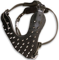 Found Spike Dalmatian Harness Manufacturers