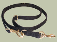 Tubular Nylon Police Lead for Dalmatian training