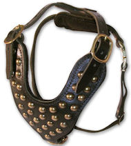 Two-Ply Latigo Dog Harness with Studs for Dalmatian