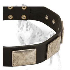 War dog awesome leather wide dog collar with rust-like plates