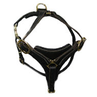 Dalmatian Tracking / Walking dog harness made of leather