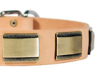 Designer Dog Collar for Dalmatian-Leather Custom Collar