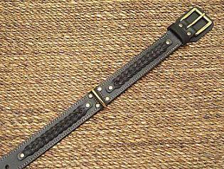 dog collar for Dalmatian 
