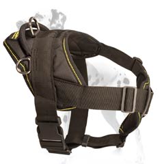 Dalmatian all weather harness