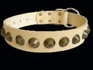 Gorgeous Wide Leather Dog Collar