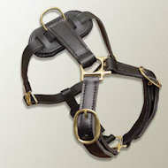 Luxury handcrafted dog harness- Dalmatian
