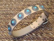 Dalmatian dog collars, leather dog gollar and nylon dog collars for Dalmatian