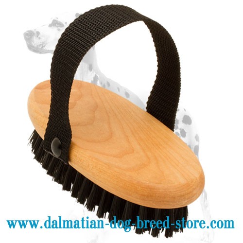 Best brush sale for dalmatian